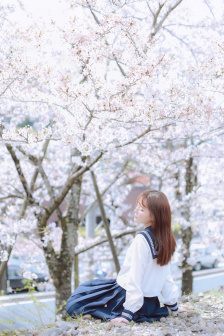 B站菊花PROJECTBGM
